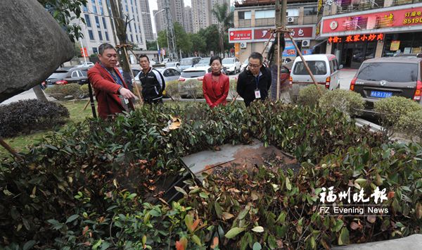 餐馆在花圃里私埋油烟管道 环保局2小时责令整改