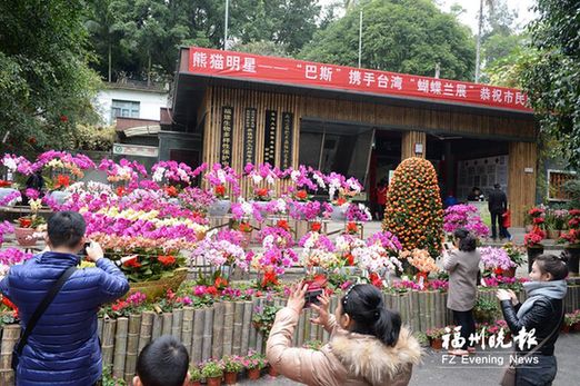 万盆鲜花伴“巴斯”