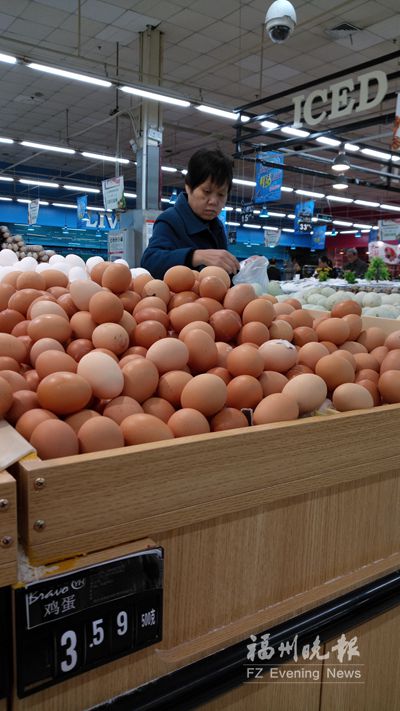养殖户养殖规模扩大　福州鸡蛋价格创近4年来新低