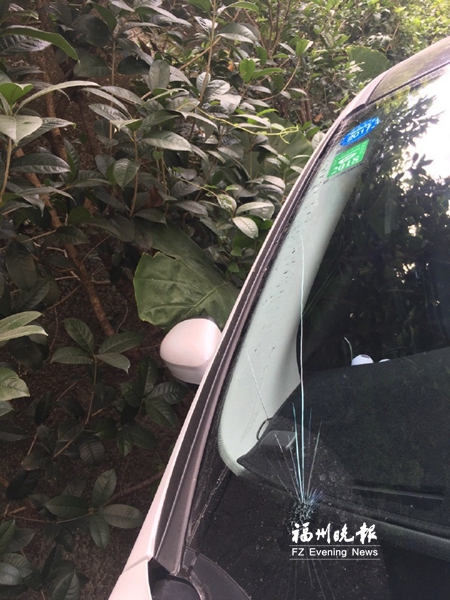 小区外芒果砸落小区内车辆遭殃　挡风玻璃被砸裂