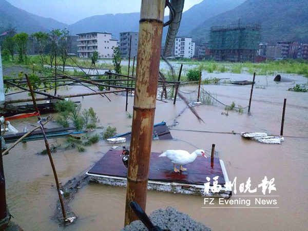 连江抗击台风党员有担当　下宫乡24小时转危为安