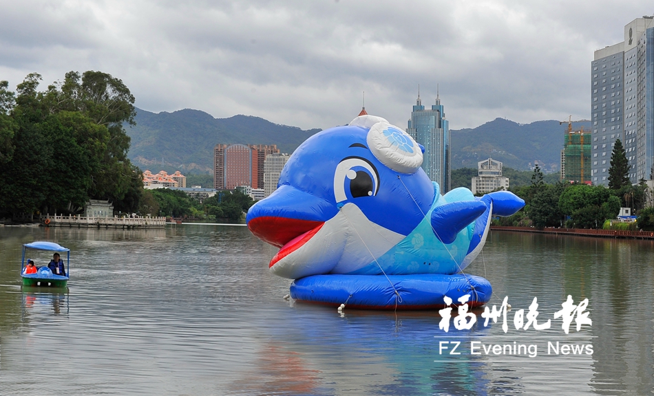 吉祥物蓝海豚成海丝旅游节“明星”