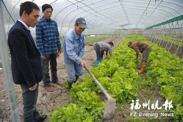 寿山乡溪下村拟打造“禅意小镇”