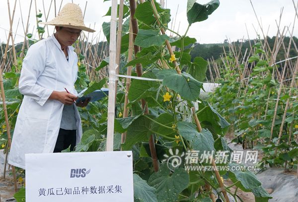 农业部植物新品种测试福州分中心加紧建设