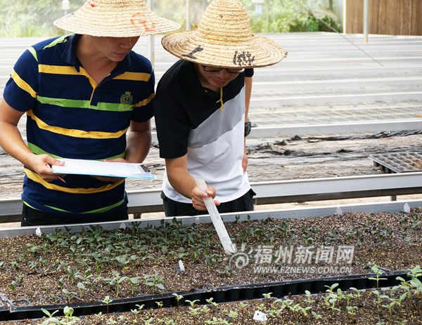 农业部植物新品种测试福州分中心加紧建设