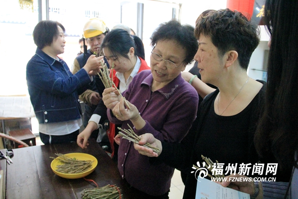 20万株茉莉花苗免费送 发起者:愿把福州种成最香的城市