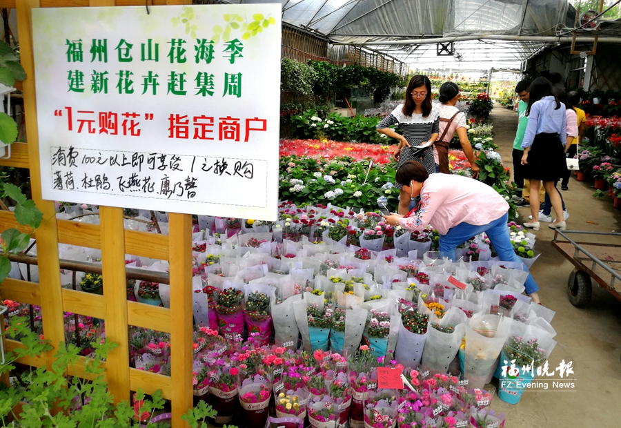 仓山花海季系列活动精彩纷呈　去建新花卉市场买花很划算