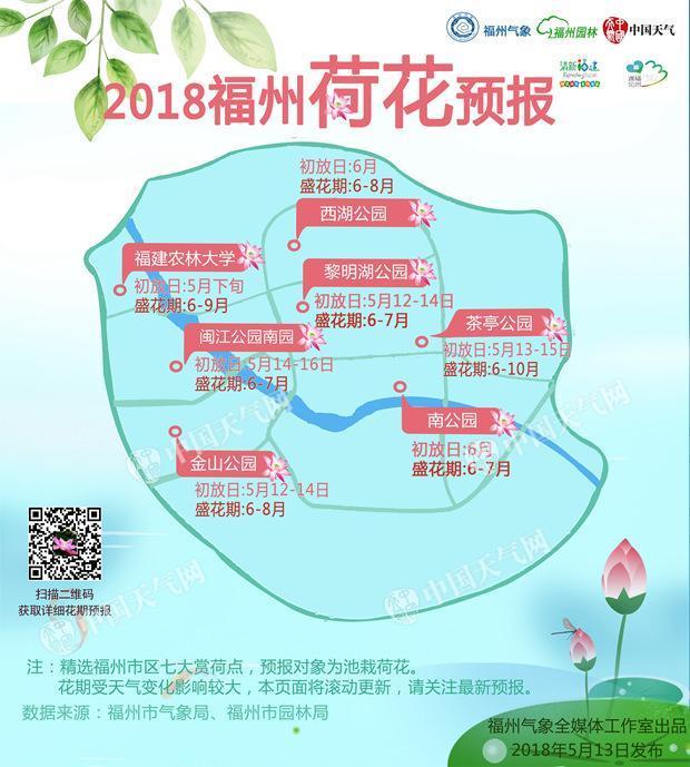 福州首次发布赏荷预报　5月中旬荷花绽放