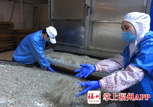 连江丁香鱼入选福建十大渔业品牌　将亮相渔博会