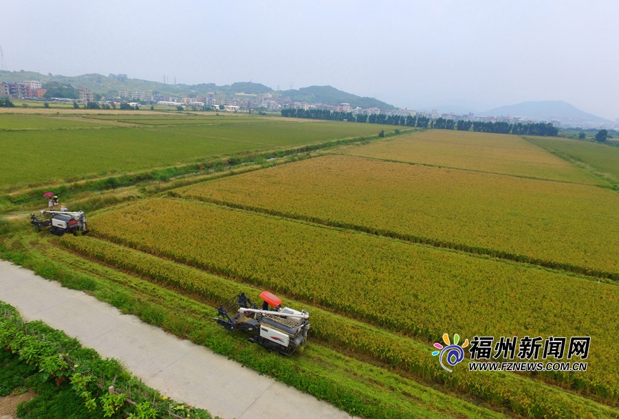 福清三华农场按照现代农场标准打造田园综合体系