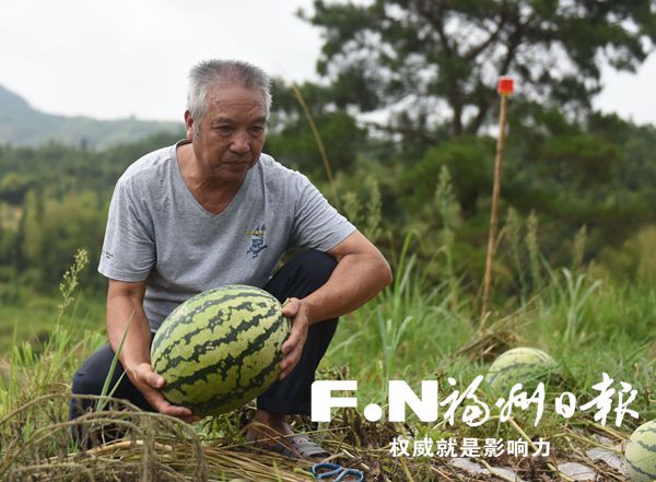1万公斤西瓜几天就卖光 罗源64岁瓜农感谢热心人