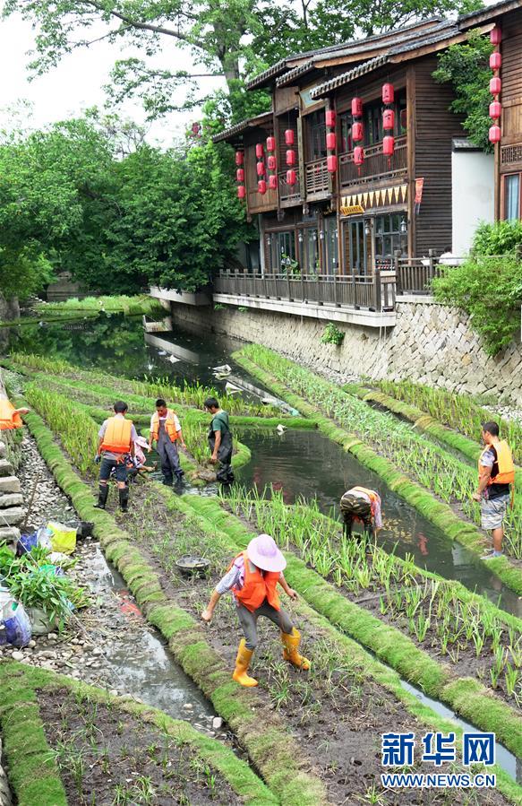 （生态）（2）福州：构建内河水系生态修复链提升河水自净能力