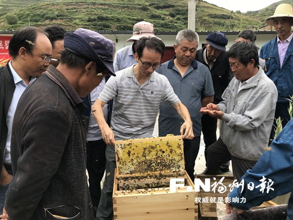 鼓楼与岷县合作助推中蜂养殖 带动6900多户群众增收
