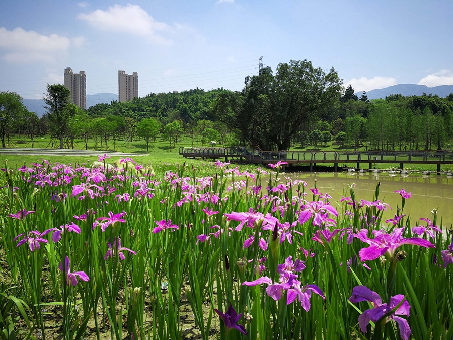 晋安夯实绿色家底增添生态红利　17座公园美如画