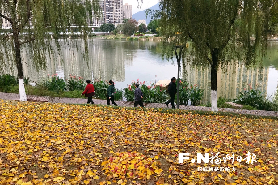 琴亭湖公园打造最美赏叶季