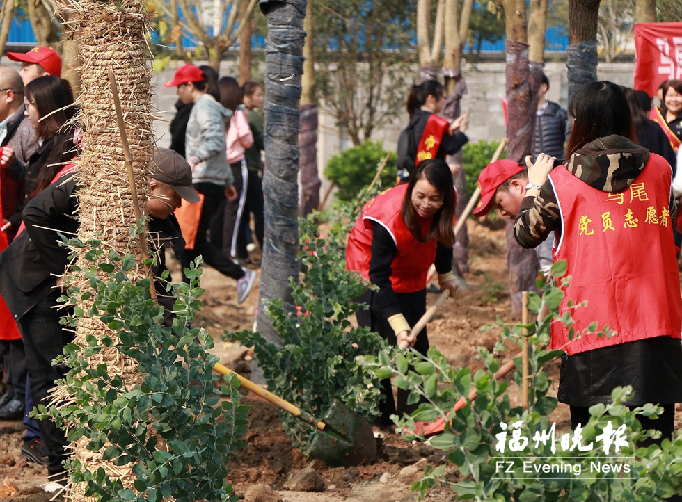 马尾志愿者义务植树500多株　为马尾添新绿