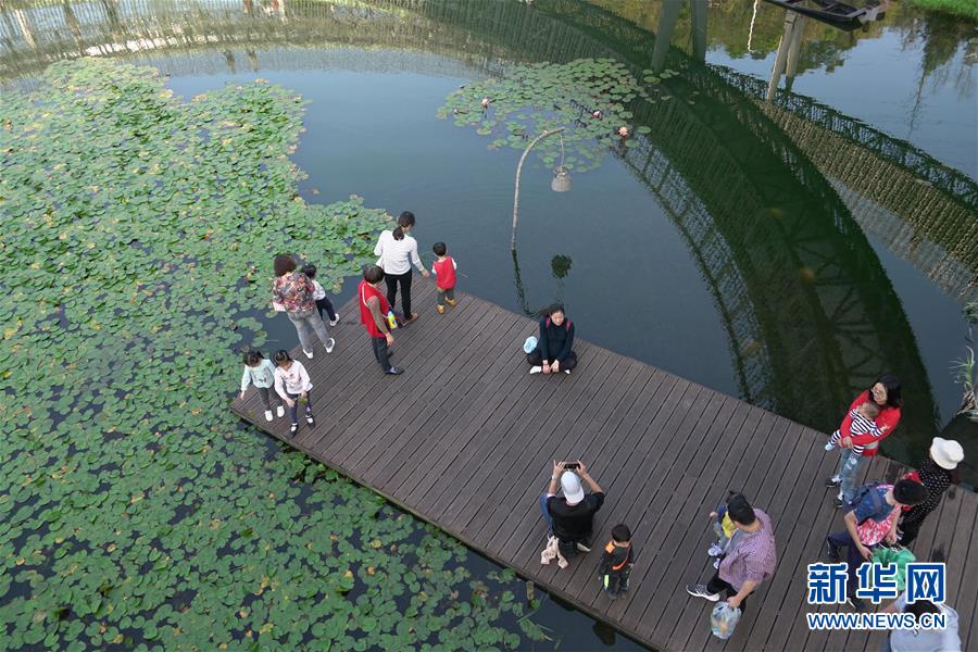 榕城绿意今更浓——福州推进城市绿道建设让民众畅享山水之美