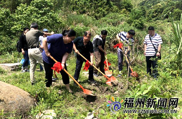 福州市文联赴罗源革命老区开展义务植树活动