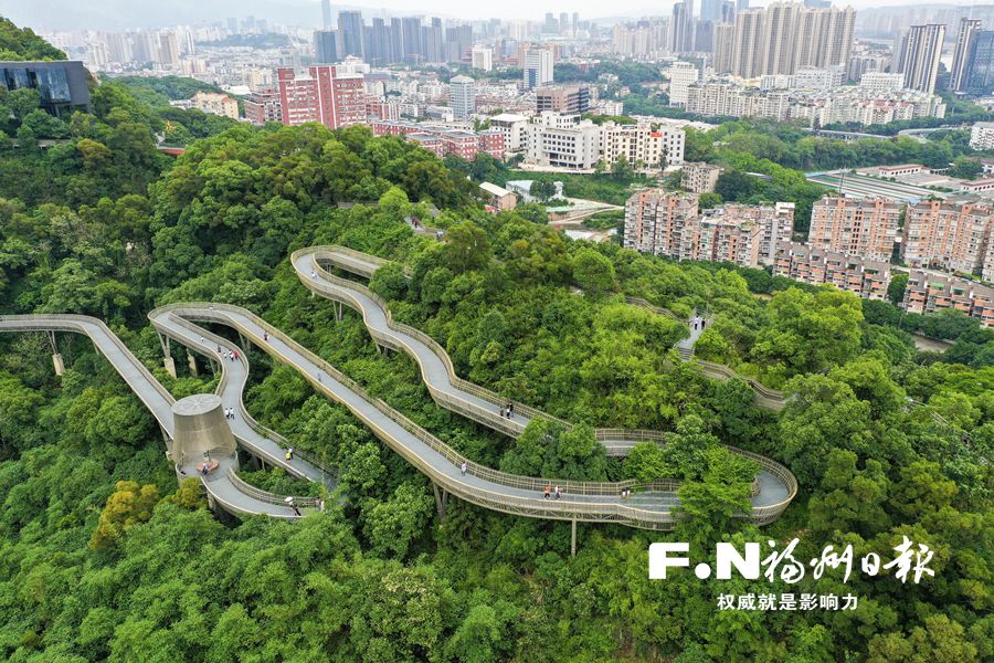 荒山开出幸福道　绿意送到家门口