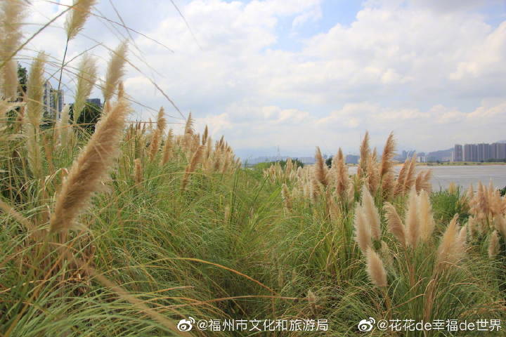 9月，乌龙江湿地公园美得像一幅画……