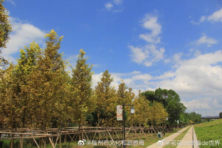 9月，乌龙江湿地公园美得像一幅画……