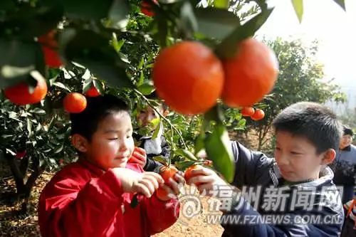 惊艳！福州闽江两岸将添新网红景观！