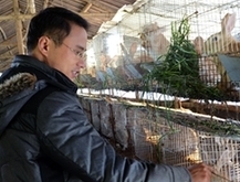 不顾父母反对放弃城里事业　罗源汉子回乡当兔倌