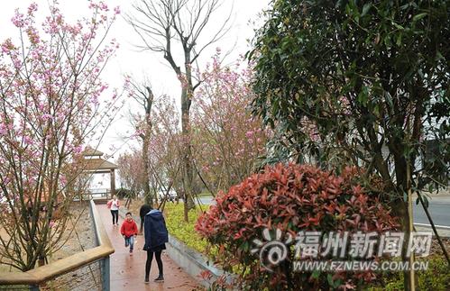 五城区今年投65亿元建设宜居环境 建成福道4公里
