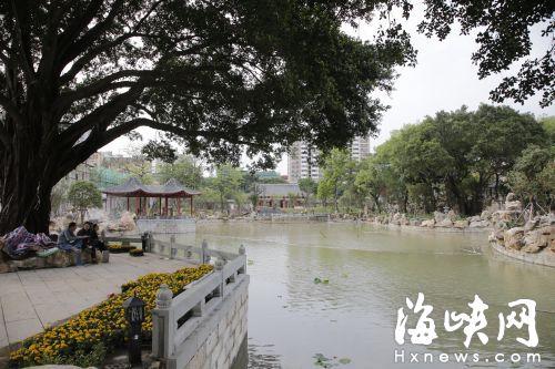 新南公园的湖景