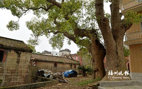 走进渔溪 就像进了“侨厝博物馆”