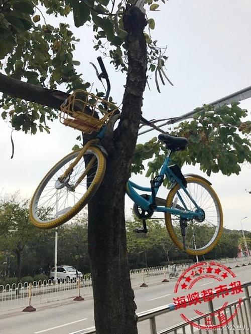 真缺德!9辆共享单车 被人沉入福州白马河