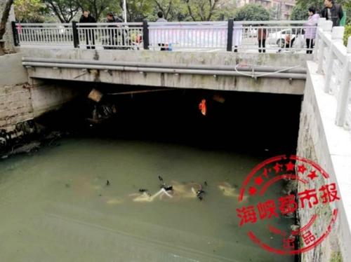 真缺德!9辆共享单车 被人沉入福州白马河