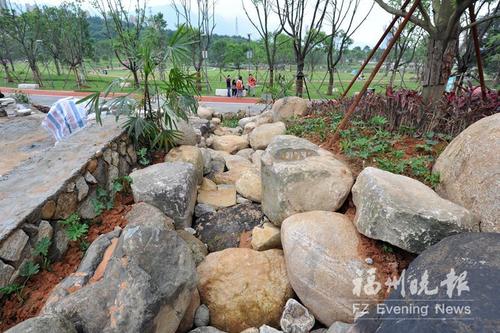 牛岗山公园:能吸水还能净水 二期力争年底建成