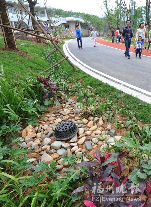 牛岗山公园:能吸水还能净水 二期力争年底建成