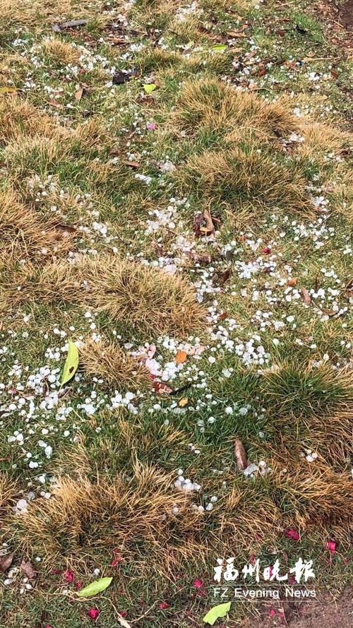 下冰雹狂降温 昨日福州天气多次大变脸今天降温超10℃