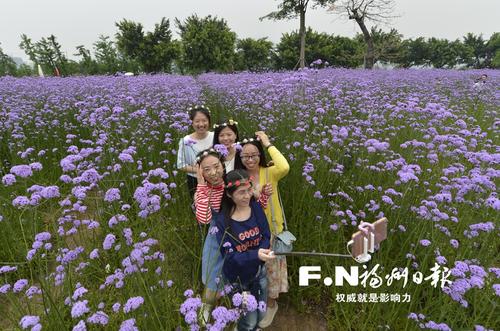 “五一”小长假 踏青赏花去 
