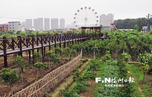 长乐长安村：“公园＋果园”发展特色乡村游