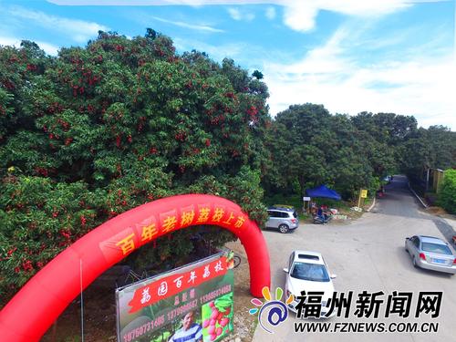 闽江滋养古荔园 美景非名画堪比