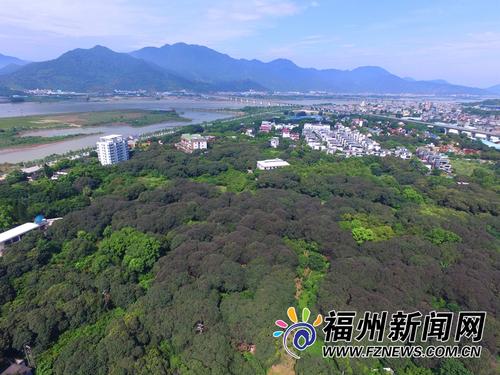 闽江滋养古荔园 美景非名画堪比