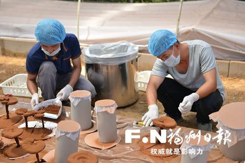 灵芝一线牵 山海同发展