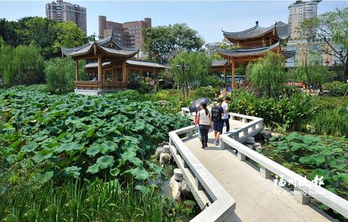 福州版“西堤春晓”建成开放 位于西湖左海西岸
