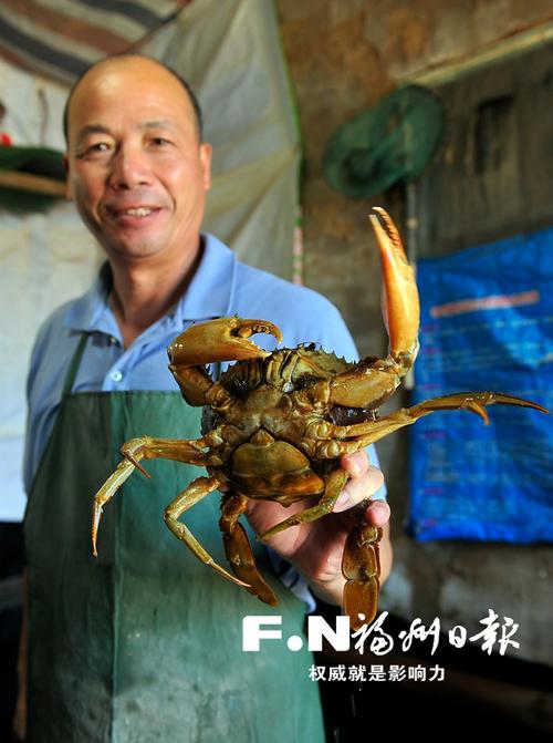 琅岐红蟳节今天16时至21时在琅岐龙鼓度假村盛大举行 亮点大剧透