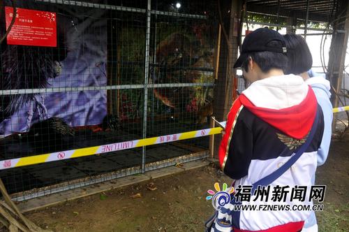 福州科技馆新春科普游园人气足 市民乐享亲子科普大餐