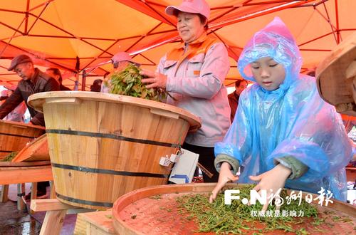 罗源首届七境茶文化节开幕 茶满七境香飘八方