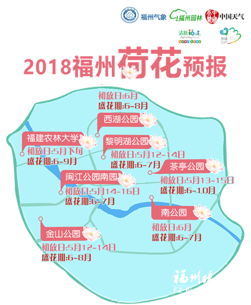 福建首份花期预报发布　榕城七大赏荷点攻略在此