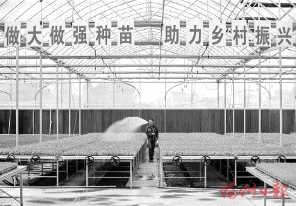 抢抓农时　奏响春耕进行曲