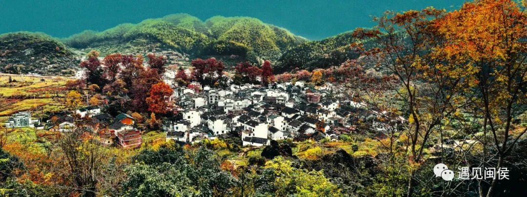 斩获省、市双冠军！祝贺他们！