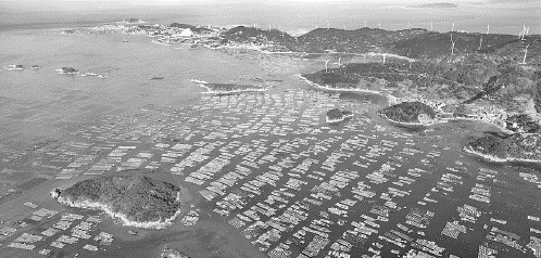连江“海洋文化季”系列活动来啦