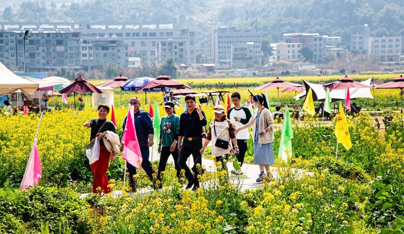 闽侯鸿尾赏花经济渐入佳境 五彩油菜花扮靓乡村全面振兴路