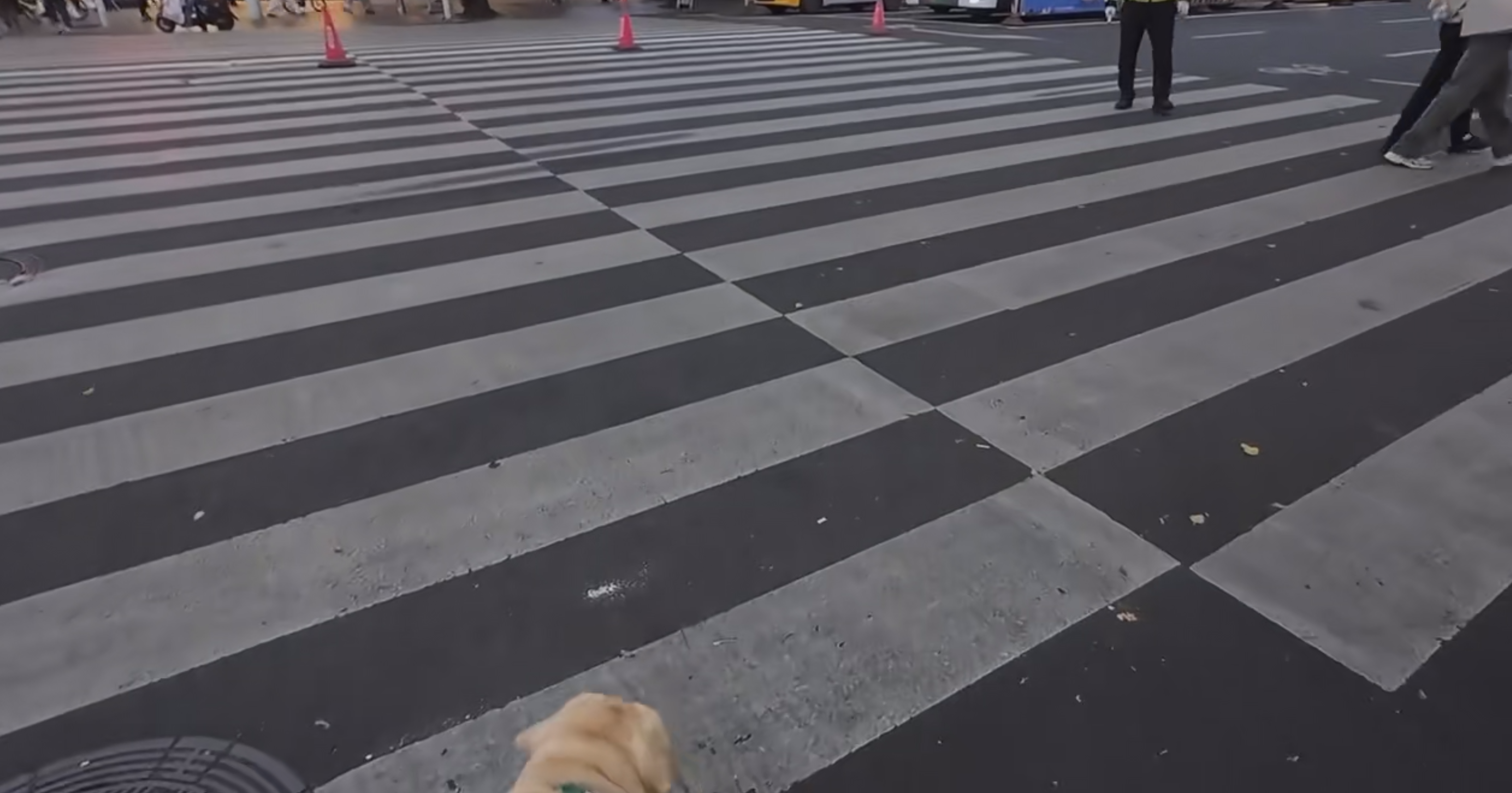 fjsenPlayer|autoSize|9b5b7eff64471e96ad408f4b97dac2be,640,360